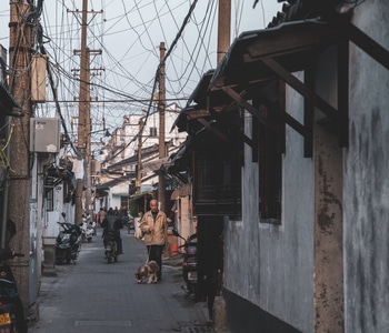 人文-人像-環保-生活-道路 图片素材