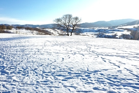 电脑传图-生活-旅遊-风雪-人文 图片素材
