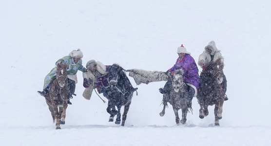 牧民-风雪-冬季-旅遊-风景 图片素材