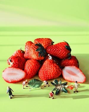 我要上封面-静物-微缩景观-小人-草莓 图片素材