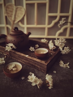 品茗-樱花-休闲-茶具-茶壶 图片素材