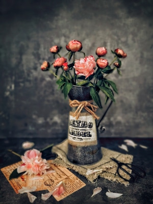 我要上封面-花卉-芍药-花瓶-暗调 图片素材