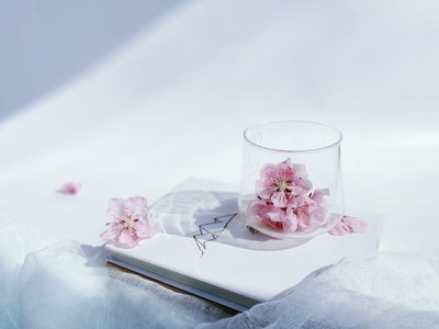 我要上封面-静物-花卉-桃花-玻璃杯 图片素材