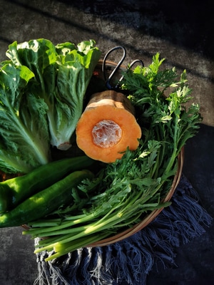 静物-蔬菜-蔬菜-食物-食材 图片素材