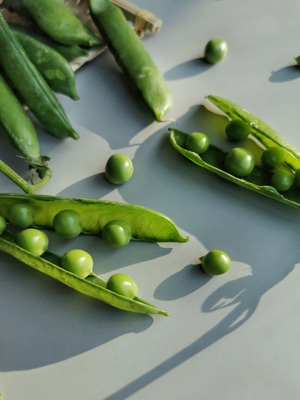 静物-豌豆-豌豆-蔬菜-食物 图片素材