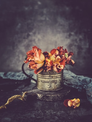 我要上封面-静物-花-凋零-花 图片素材