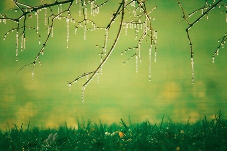 舞光拾色-自然风光-唯美-生态摄影-冬日暖阳 图片素材