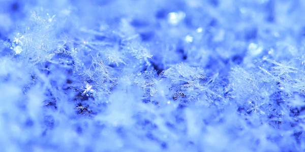 太阳雪-舞光拾色-你好2020-捕光者-故乡 图片素材
