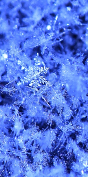 太阳雪-舞光拾色-你好2020-捕光者-故乡 图片素材