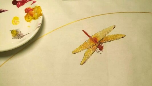 手机摄影-草间偷活-国画-草虫-节肢动物 图片素材