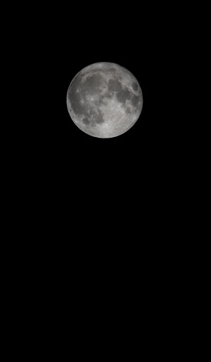 夜景-探月-中秋-夜景-月亮 图片素材