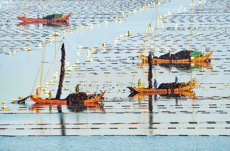 原创-霞浦-渔船-大海-渔民 图片素材