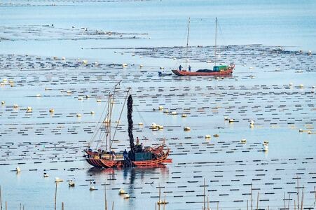 原创-霞浦-渔船-大海-渔民 图片素材