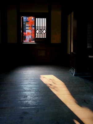 一镜知秋-色彩-手机摄影-光影-人文纪实 图片素材