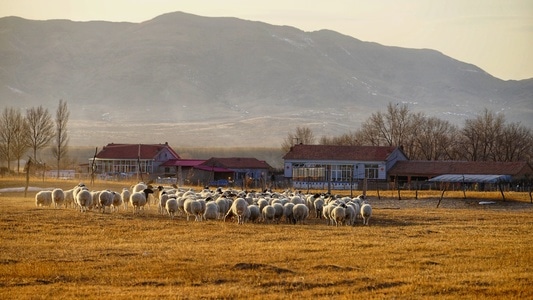 家园-故乡-乌丹镇-内蒙古-赤峰市 图片素材