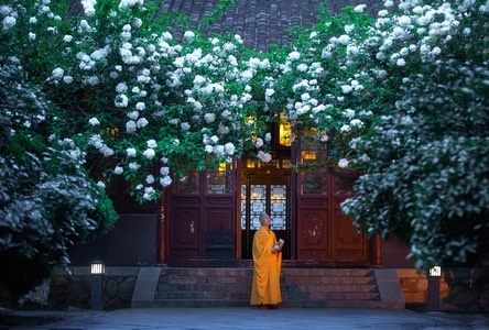 南京市-古建筑-绣球-崇正书院-法师 图片素材