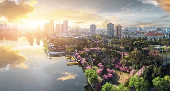 莫愁湖-海棠-春天-早晨-城市 图片素材