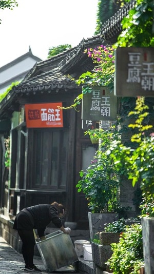 老门东-初夏-宁静-早晨-老门东 图片素材