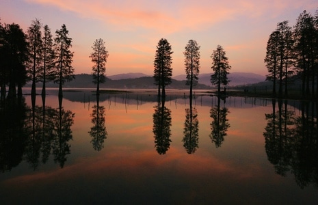深秋-树-湖泊-清晨-树 图片素材
