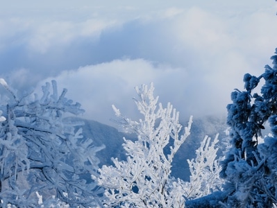 清晨-雪景-云雾-风景-雪景 图片素材