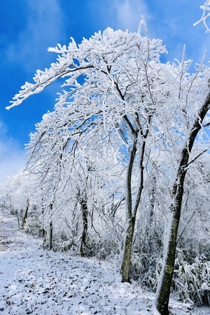 安吉龙王山-旅行-冬季-雪景-风景 图片素材