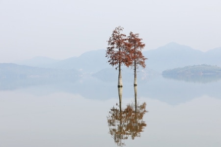 一镜知秋-水域-树-深秋-树 图片素材