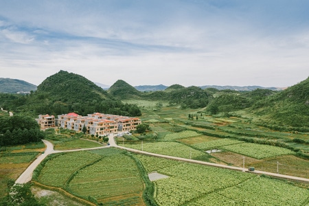 绿色-夏天-天空-航拍-农田 图片素材