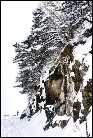 庐山-雪景-风光-风景-素材 图片素材