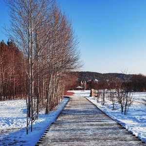 年味-冬日暖阳-雪景-光影-蓝 图片素材