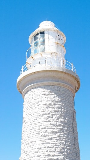 旅行-澳大利亚-perth-老鼠岛-rottnest 图片素材