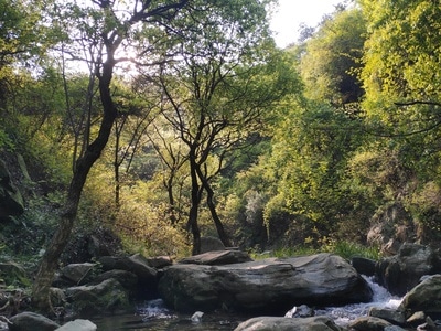 手机摄影-lr-旅行-纪实-天气 图片素材