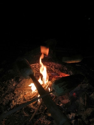 烤玉米-火-夜-火-堆火 图片素材