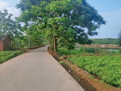 夏天-乡间小路-道路-马路-公路 图片素材