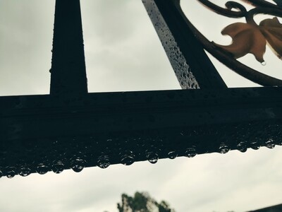雨滴-下雨天-水珠-雨滴-水滴 图片素材