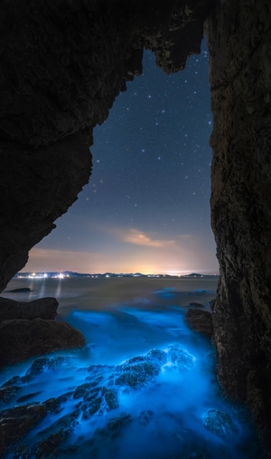 荧光海-蓝眼泪-夜景-荧光海-风景 图片素材