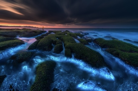 蓝眼泪-荧光海-海岸-海洋-自然 图片素材