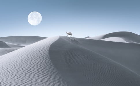 沙漠-新疆-骆驼-风光-月夜 图片素材