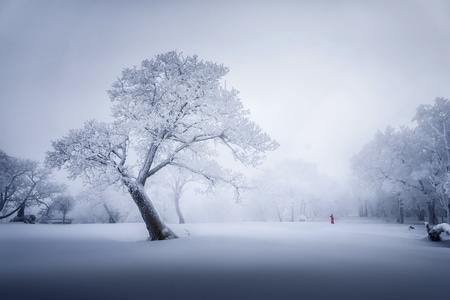 雾凇-冰雪-雪-雪景-冰雪 图片素材