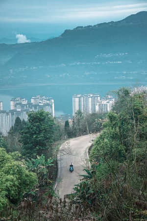生活-色彩-道路-树木-树 图片素材