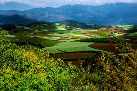 你好2020-山川秀美-行摄天下-风景-风光 图片素材