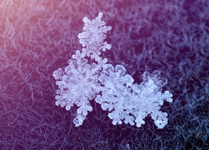 昆虫总动员-手机-微距-雪花-雪花 图片素材