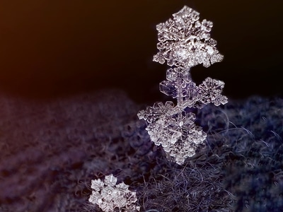 昆虫总动员-手机-微距-雪花-雪花 图片素材