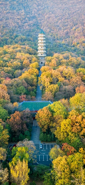 风光-中山陵-无人机-中山陵秋色-风景 图片素材