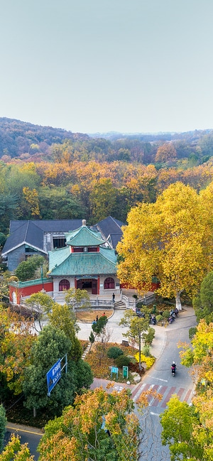 风光-中山陵-无人机-中山陵秋色-风景 图片素材