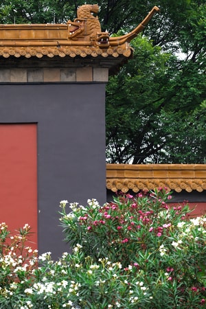 夹竹桃-风光-古建筑-宫殿-古建筑 图片素材