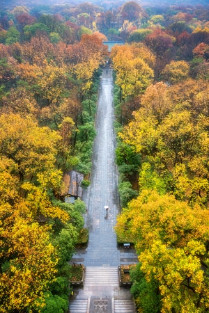 秋色-风光-风景-树-树木 图片素材