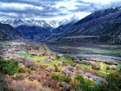 拉萨-林芝-桃花沟-索松村-风景 图片素材