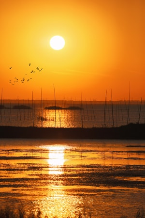 城市风光-石臼湖-夕阳-风景-夕阳 图片素材
