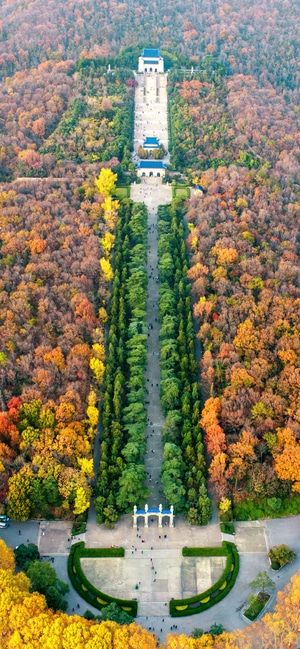 风光-中山陵-无人机-中山陵秋色-风景 图片素材