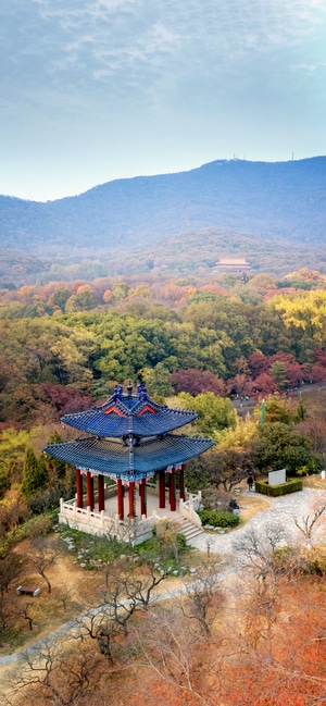 风光-中山陵-无人机-中山陵秋色-风景 图片素材